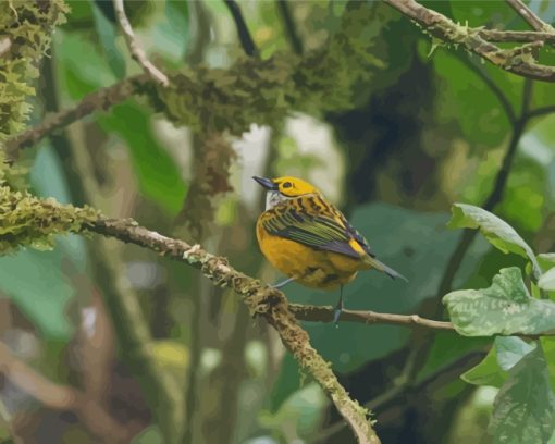 Silver Throated Tanager On Branch paint by number