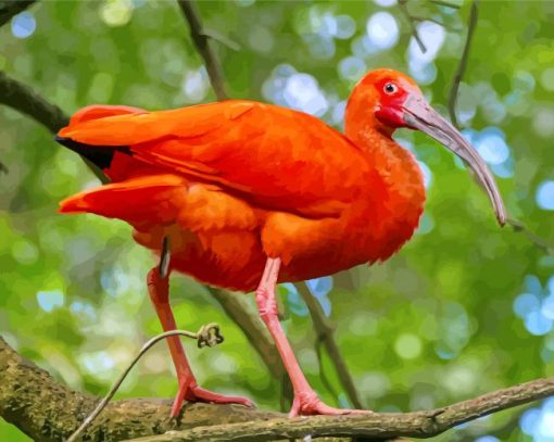 Trinidad Scarlet Ibis paint by number