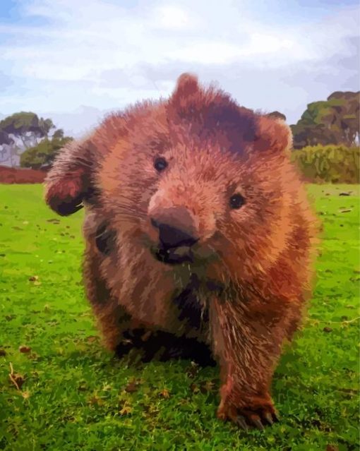 Wombat Animal Paint By Number