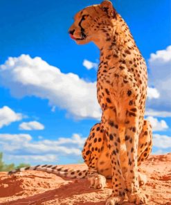 Aesthetic Cheetah Animal paint by numbers