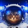 Aesthetic Space Astronaut Cat Paint by numbers