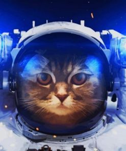 Aesthetic Space Astronaut Cat Paint by numbers