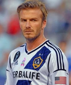 The Professionl Footballer Beckham paint by numbers