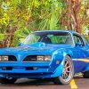 blue-78-firebird-trans-am-paint-by-numbers