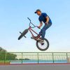 BMX Trick In The Air Paint by numbers