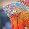 colorful-iguana-adult-paint-by-numbers