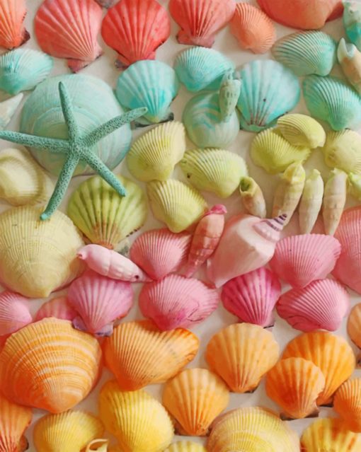 Colorful Seashell paint by numbers