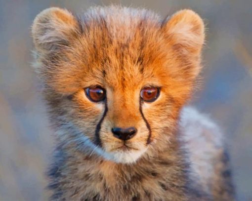 Cute Baby Cheetah paint by numbers