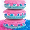 Cute Macarons Paint By Numbers