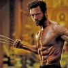 Barba Hugh Jackman Wolverine paint by numbers