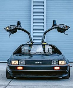 Delorean Car Paint by numbers