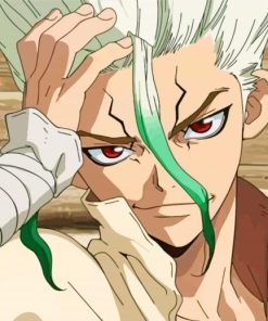 dr-stone-anime-paint-by-number