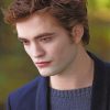 Edward Cullen Vampire paint by numbers