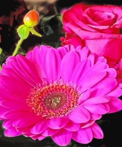 Pink Gerbera Paint by numbers