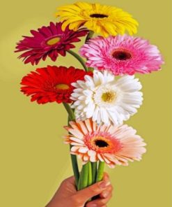 Gerbera Bloem paint by numbers