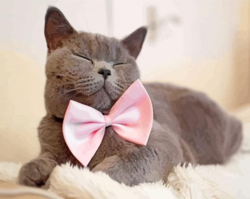 Gray Cat With Pink Bow Paint By Numbers