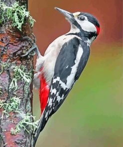 great-spotted-woodpecker-paint-by-numbers