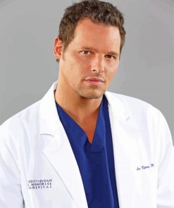 grey-s-anatomy-Alex-Karev-paint-by-numbers