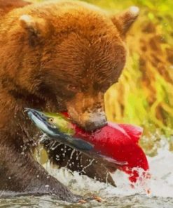 Grizzly Bear Catching Salmon Paint by numbers