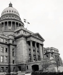 Idaho State Capitol Black and White paint by numbers