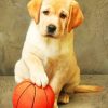 Labrador Puppy With Ball paint by numbers