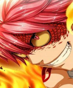 Natsu Fairy Tail Anime paint by numbers