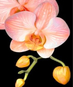 Orange Orchid Paint by numbers