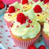 raspberry-and-white-choc-cupcake-paint-by-number