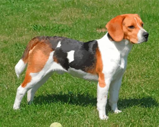 Scent Hound Dog paint by number