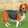 scent hound paint by numbers