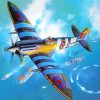 Spitfire Airplane paint by numbers