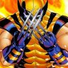 Superhero Wolverine Paint by numbers