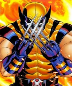 Superhero Wolverine Paint by numbers