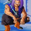 Trunks Dragon Ball paint by numbers