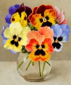 Vintage Pansy Flowers paint by numbers