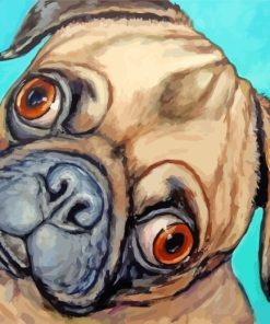 Pug Dog paint by numbers