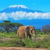 Kenya Amboseli National Park Elephant paint by numbers