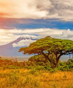 Amboseli National Park Kenya Africa paint by numbers