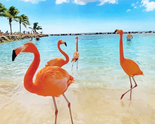 Aruba Flamingos paint by numbers