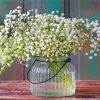 Babys Breath White Plants paint by numbers