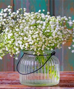 Babys Breath White Plants paint by numbers