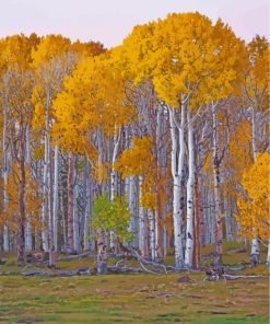 Birch Trees paint by numbers