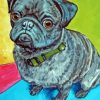 Little Black Pug Dog paint by numbers