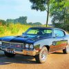 Black Buick Skylark Car paint by numbers