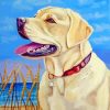 Blonde Labrador Dog paint by numbers