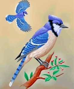 Blue-Jay-Birds-paint-by-numbers