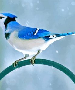 Blue-Jay-paint-by-numbers