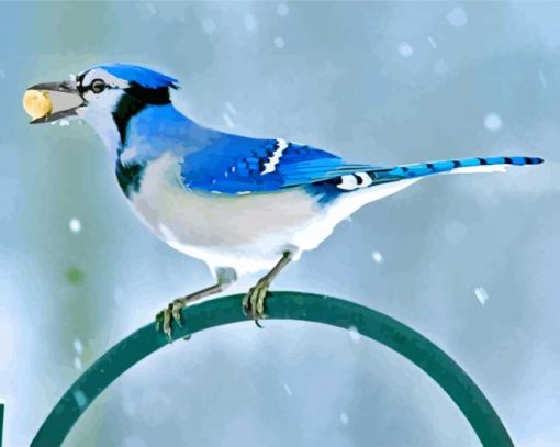 Blue-Jay-paint-by-numbers