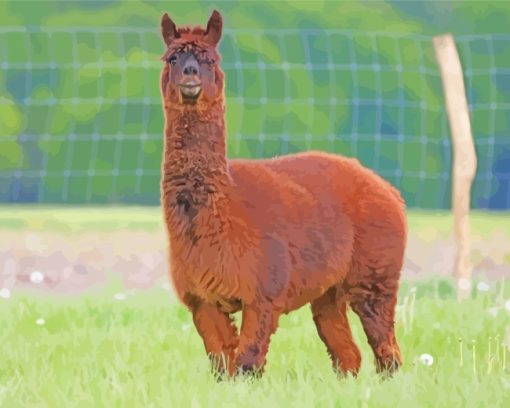 Brown Alpaca paint by numbers