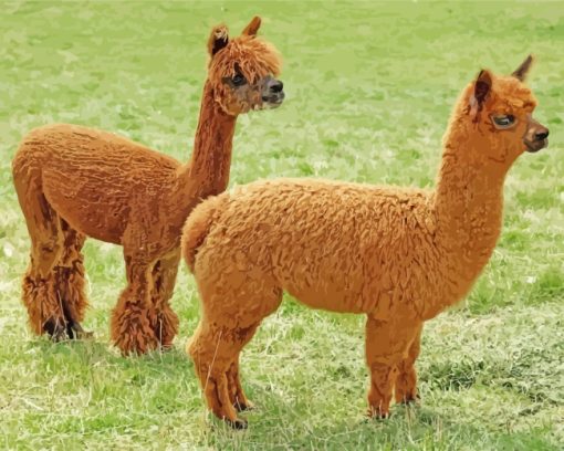 Brown Alpacas Animal paint by numbers